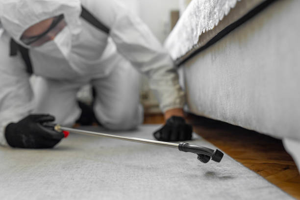 Professional Bed Bug Control technician working in Camp Springs, MD
