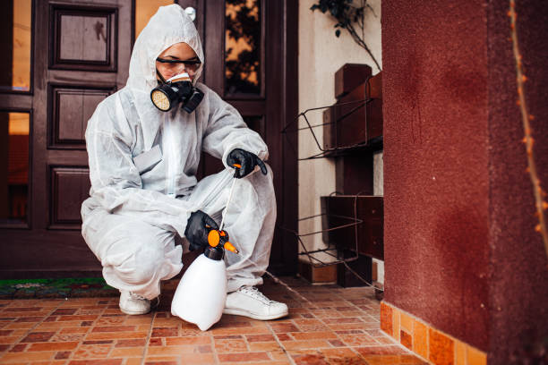 Reliable Bed Bug Control contractor in Camp Springs, MD by Nex Pest Control