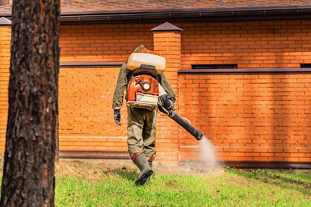 Trusted Ant Control service in Camp Springs, MD - Nex Pest Control